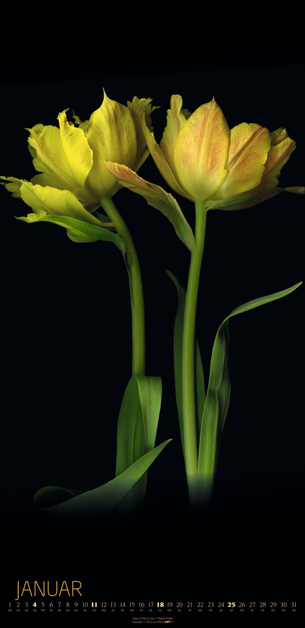 Beispielinhalt (Bild) Die Magie der Blumen Kalender 2026