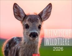 Heimische Wildtiere Kalender 2026