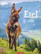 Esel Kalender 2026