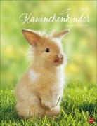 Kaninchenkinder Posterkalender 2026