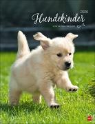 Hundekinder Posterkalender 2026