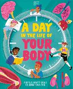 A Day in the Life of Your Body