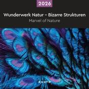 Wunderwerk Natur – Bizarre Strukturen - KUNTH Broschurkalender 2026