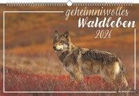 Vorderes Coverbild Geheimnisvolles Waldleben 2026 - Bildkalender 49,5x33 cm - Tiere und Pflanzen in unseren heimischen Wäldern - Wandkalender - Wandplaner - Tierkalender