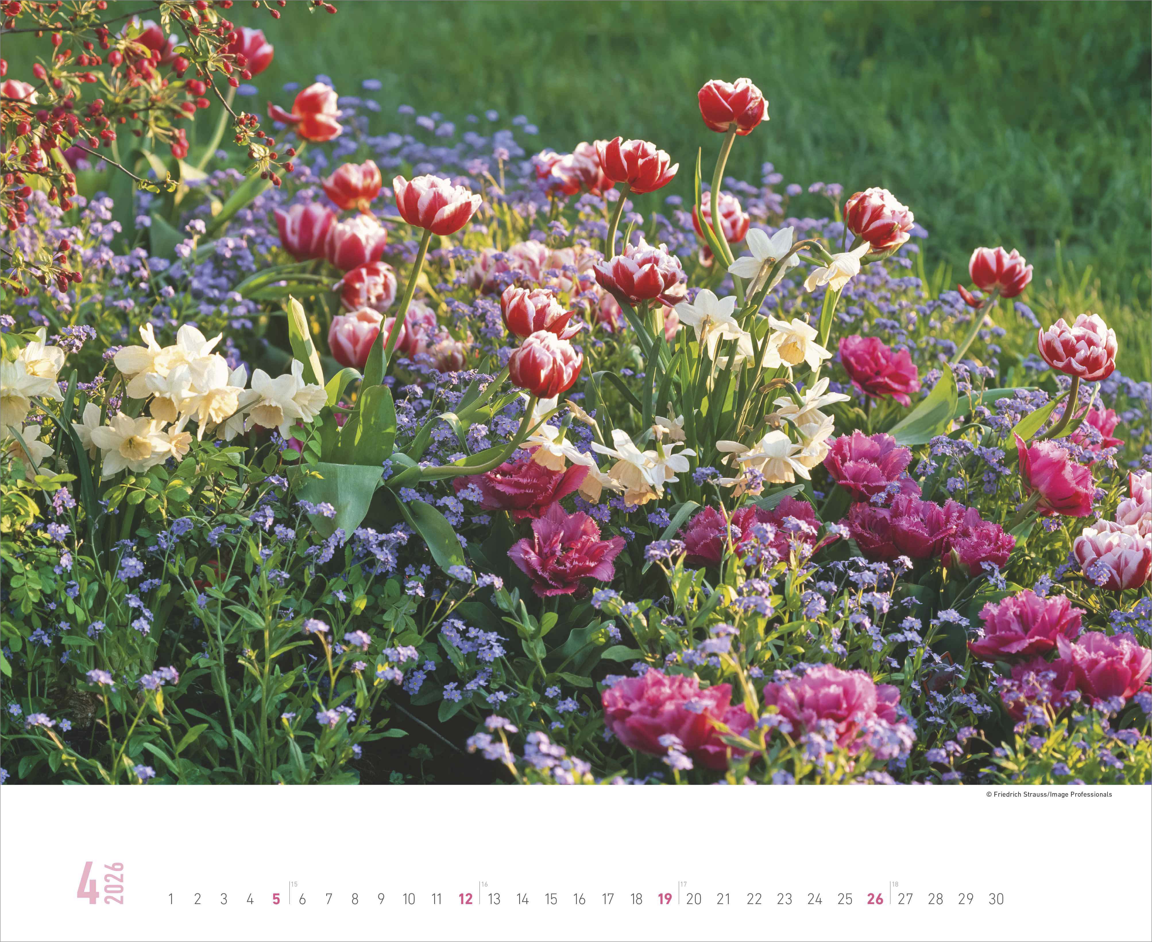 Beispielinhalt (Bild) Gartenparadiese 2026 – Wandkalender 52 x 42,5 cm – Spiralbindung