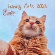 Funny Cats 2026 - Broschürenkalender 30x30 cm (30x60 geöffnet) - Kalender mit Platz für Notizen - Katzen - Bildkalender - Wandplaner - Katzenkalender