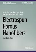 Electrospun Porous Nanofibers