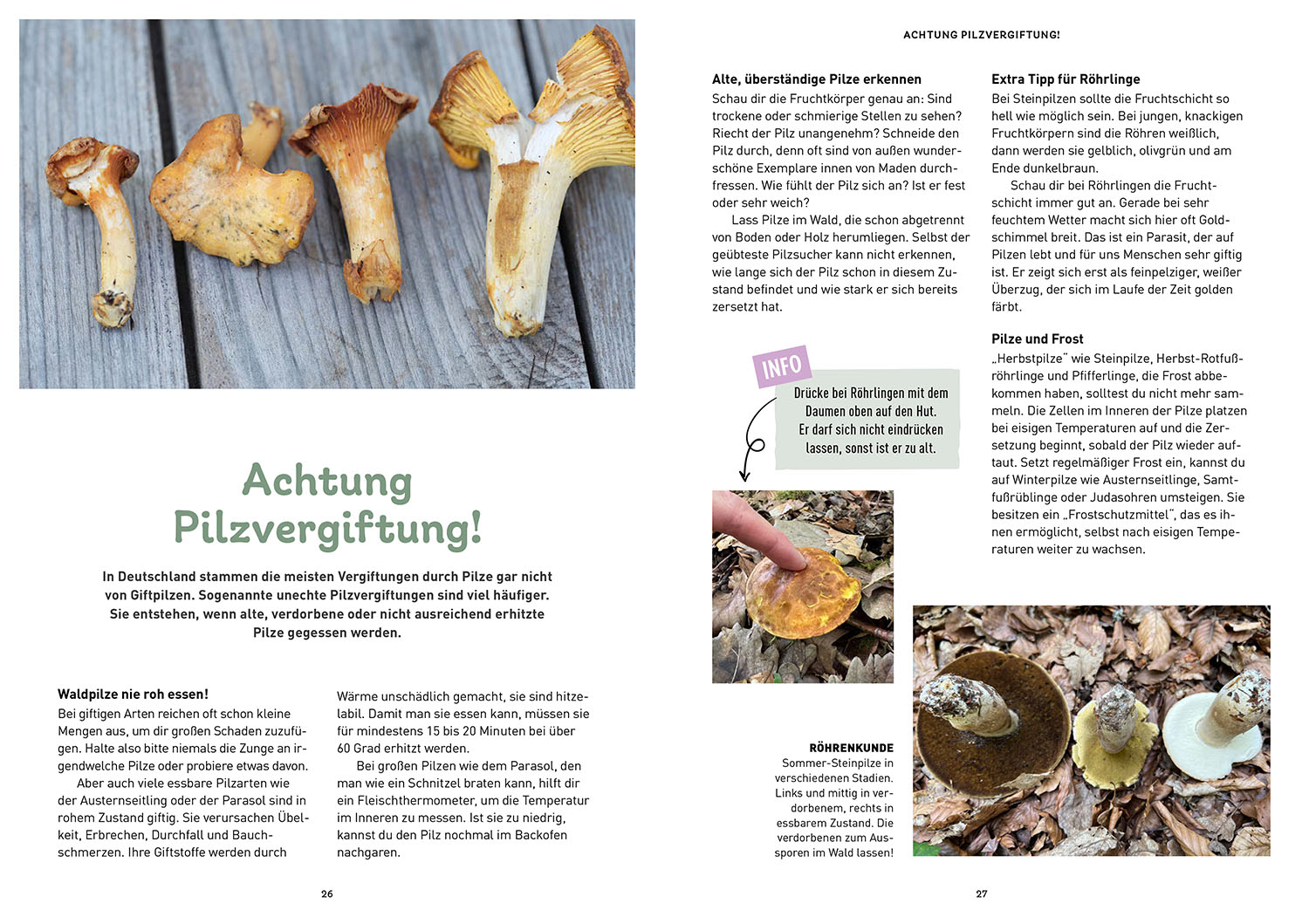 Beispielinhalt (Bild) Das Pilzbuch für Kids