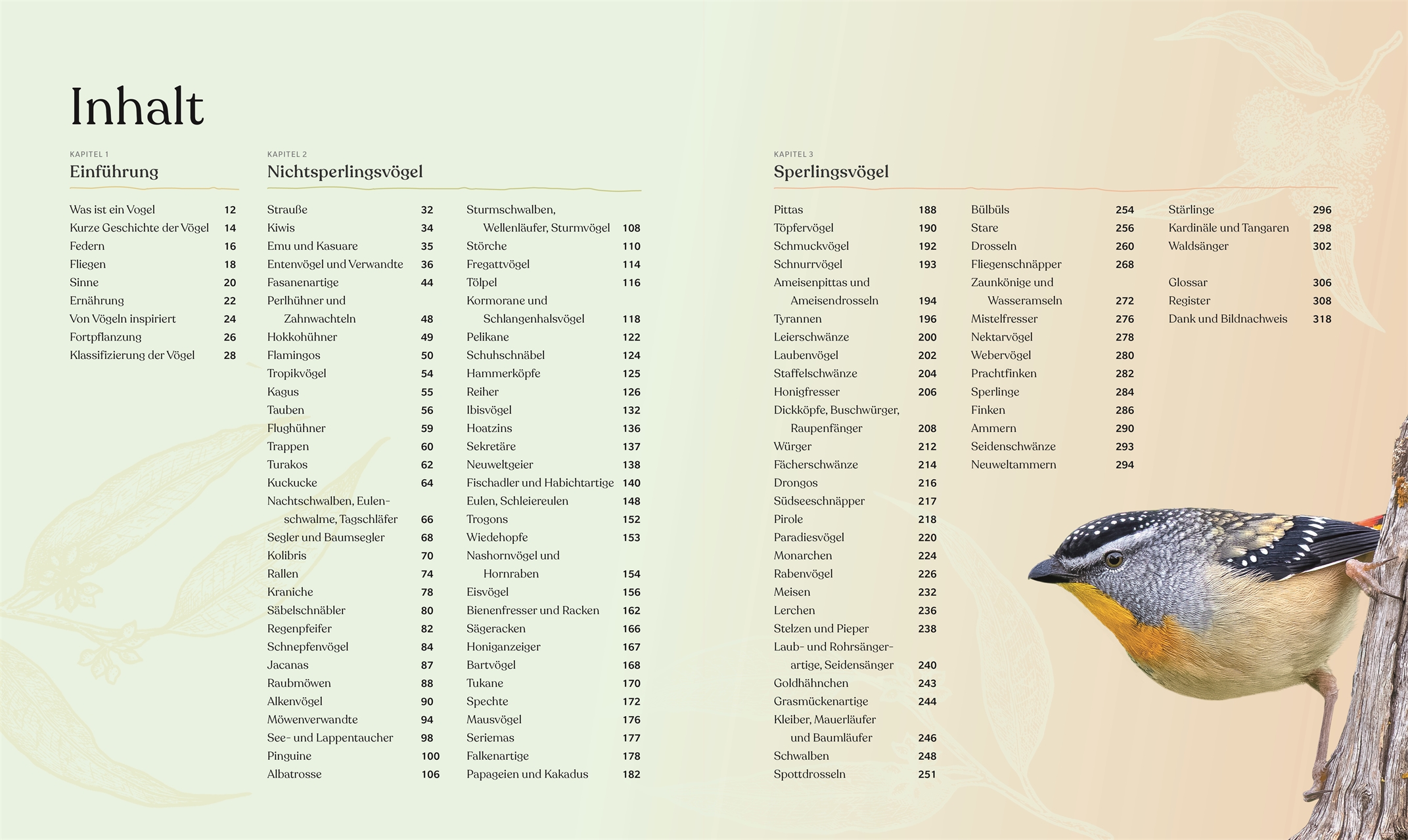 Beispielinhalt (Bild) Vögel - Eine Natur- und Kulturgeschichte