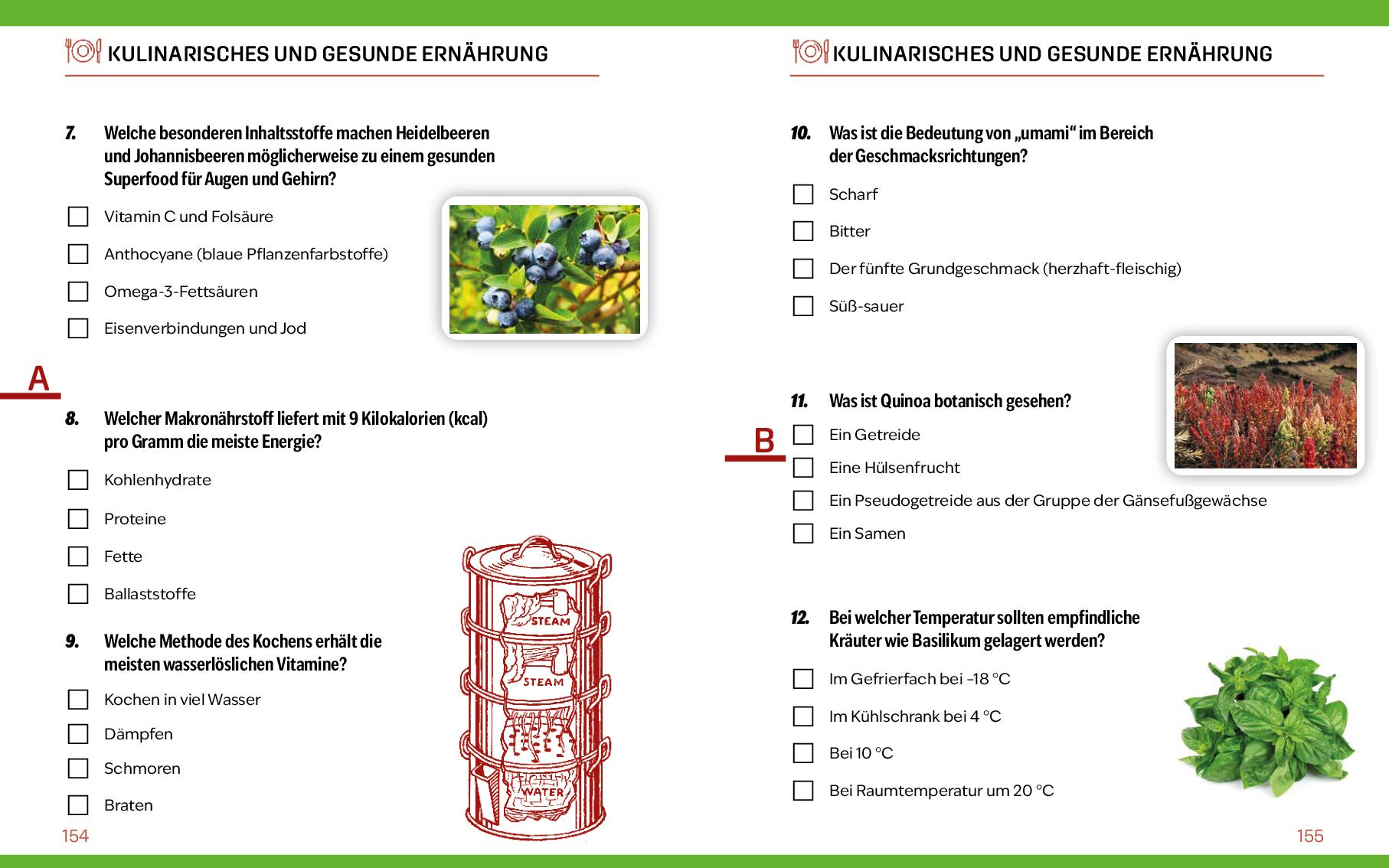 Beispielinhalt (Bild) Quizbuch mit Lösungsschablone Allgemeinwissen