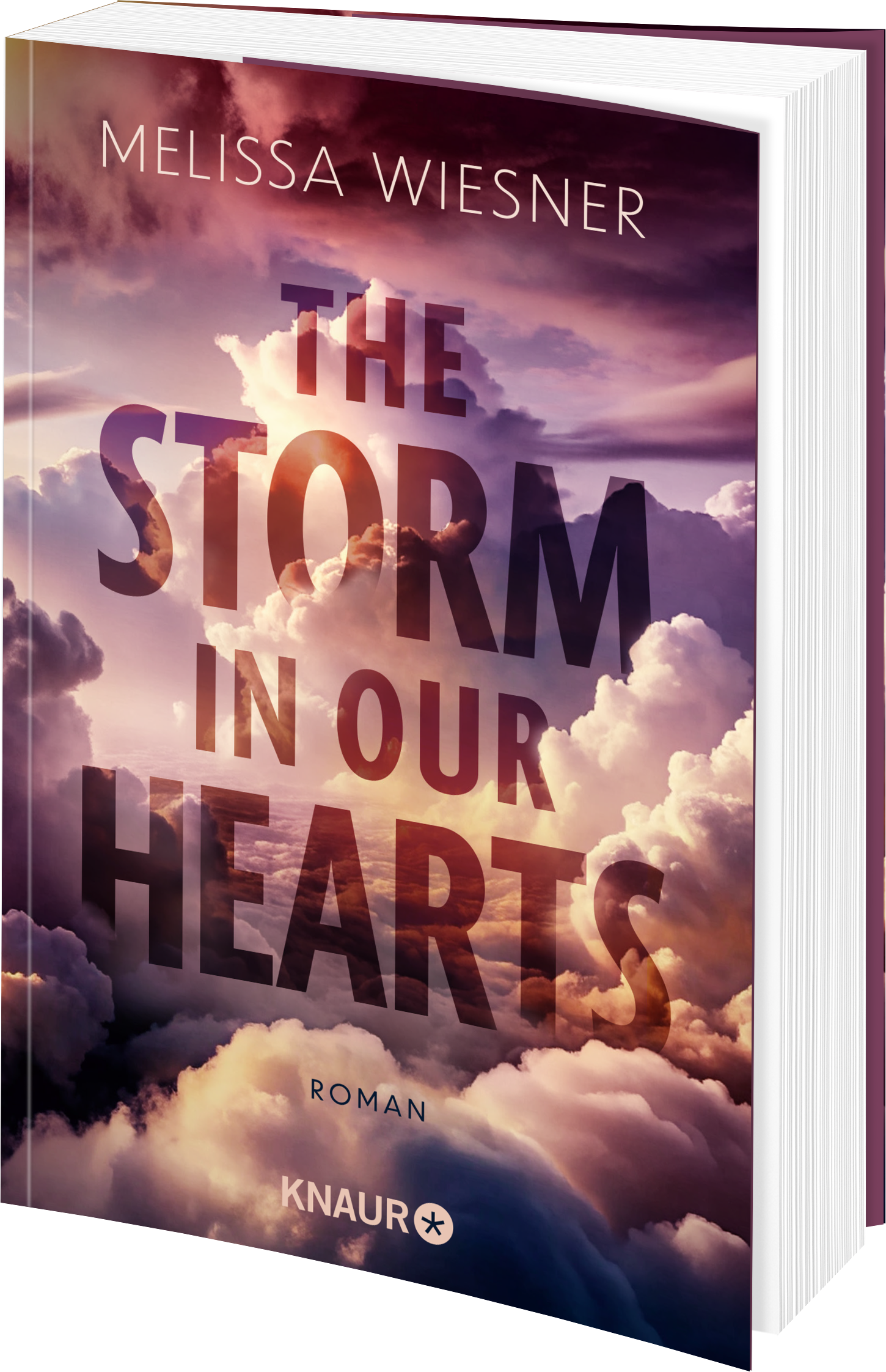 Anderes Coverbild The Storm in Our Hearts
