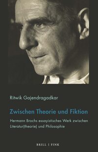 Vorderes Coverbild Zwischen Theorie und Fiktion