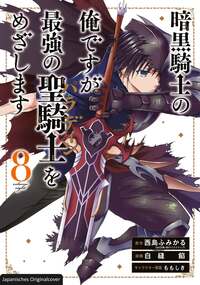 Vorderes Coverbild Dark Paladin 08