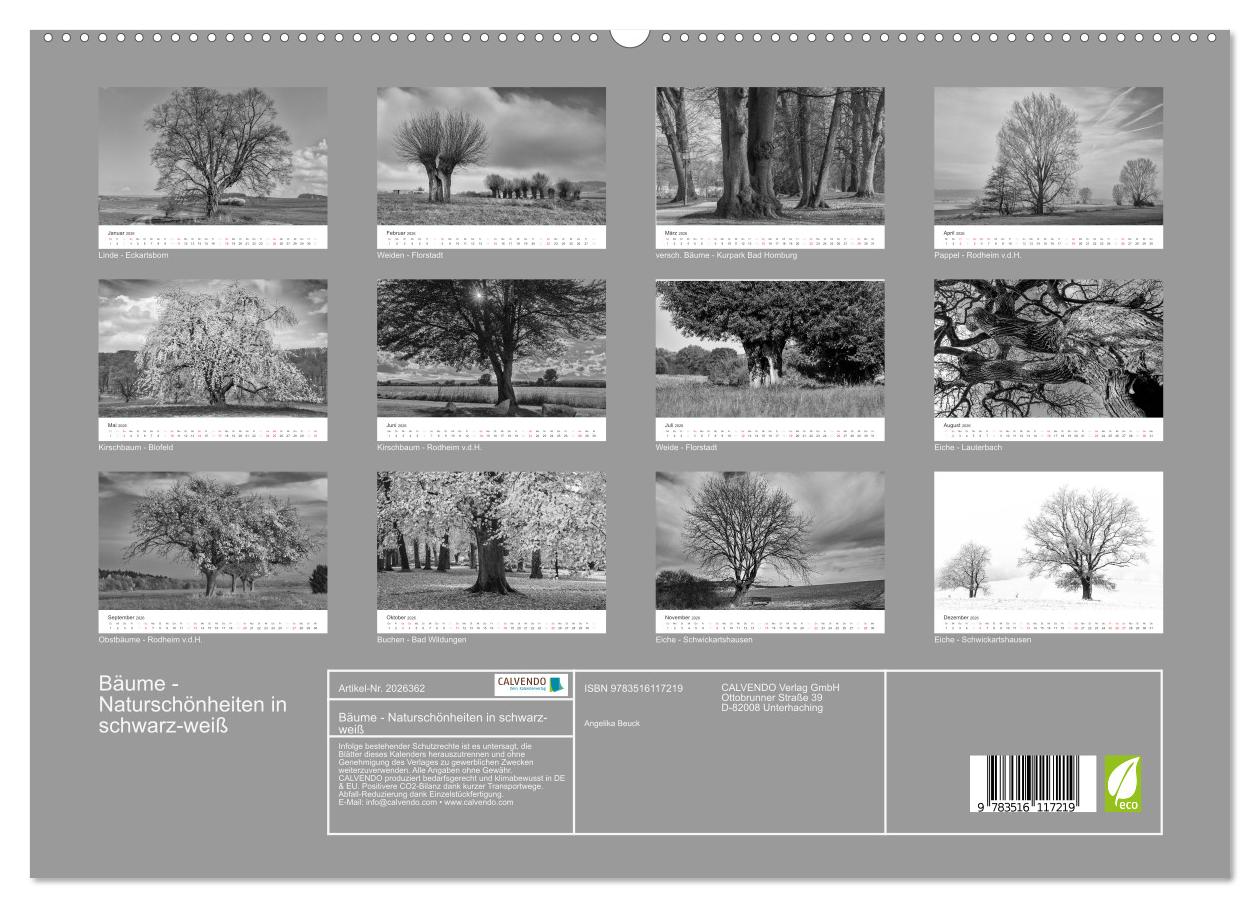 Beispielinhalt (Bild) Bäume - Naturschönheiten in schwarz-weiß (hochwertiger Premium Wandkalender 2026 DIN A2 quer), Kunstdruck in Hochglanz