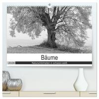 Vorderes Coverbild Bäume - Naturschönheiten in schwarz-weiß (hochwertiger Premium Wandkalender 2026 DIN A2 quer), Kunstdruck in Hochglanz