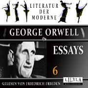 Vorderes Coverbild Essays 6