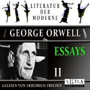 Vorderes Coverbild Essays 11