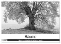 Vorderes Coverbild Bäume - Naturschönheiten in schwarz-weiß (Wandkalender 2026 DIN A2 quer), CALVENDO Monatskalender