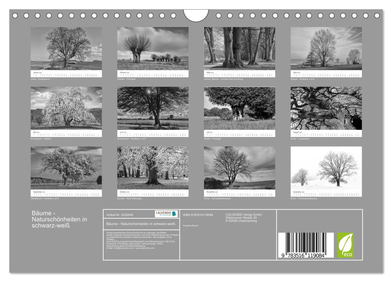 Beispielinhalt (Bild) Bäume - Naturschönheiten in schwarz-weiß (Wandkalender 2026 DIN A4 quer), CALVENDO Monatskalender