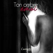 Vorderes Coverbild Ton ombre émoi
