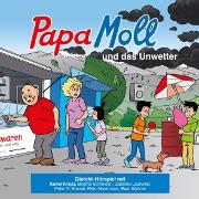 Vorderes Coverbild Papa Moll und das Unwetter