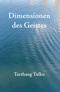 Vorderes Coverbild Dimensionen des Geistes
