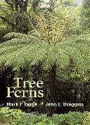 Tree Ferns