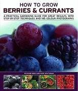 How to Grow Berries and Currants