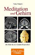 Meditation und Gehirn (Wissen & Leben)