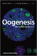 Oogenesis