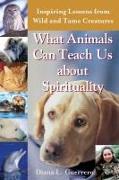 What Animals Can Teach Us About Spirituality