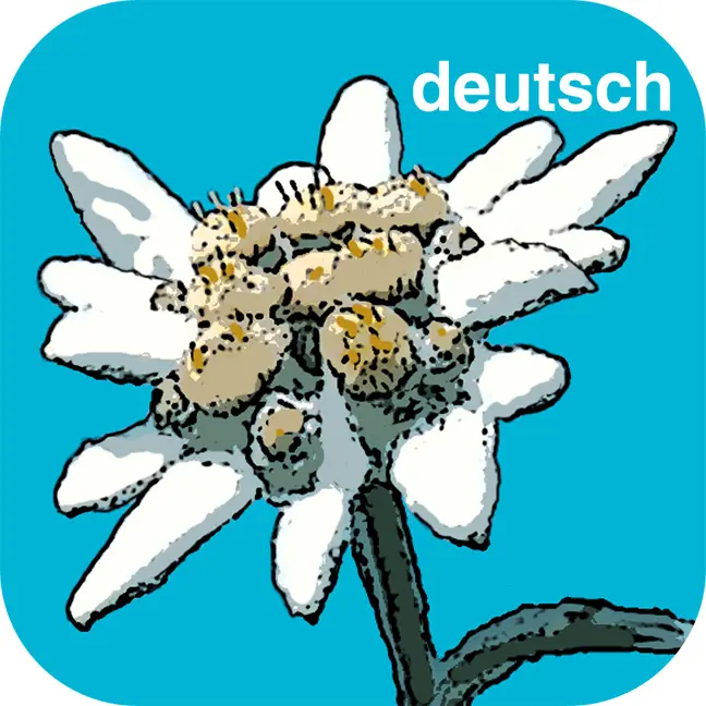 Vorderes Coverbild Flora Helvetica Pro deutsch