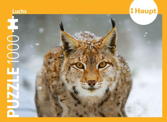 Der Luchs – Puzzle