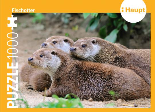 Fischotter – Puzzle