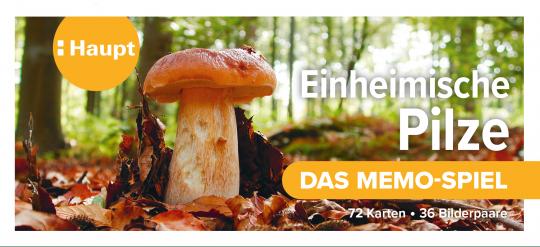 Einheimische Pilze – das Memo-Spiel