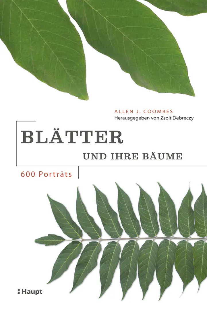 Vorderes Coverbild Blätter und ihre Bäume