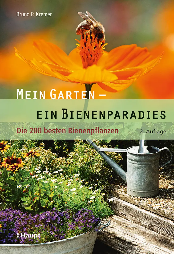 Vorderes Coverbild Mein Garten - ein Bienenparadies