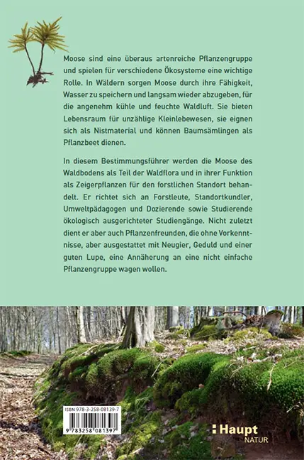 Beispielinhalt (Bild) Moose des Waldbodens