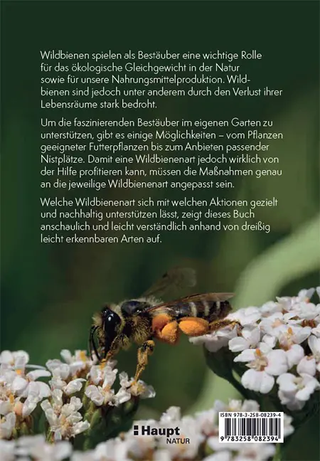 Beispielinhalt (Bild) Wildbienen artgerecht unterstützen
