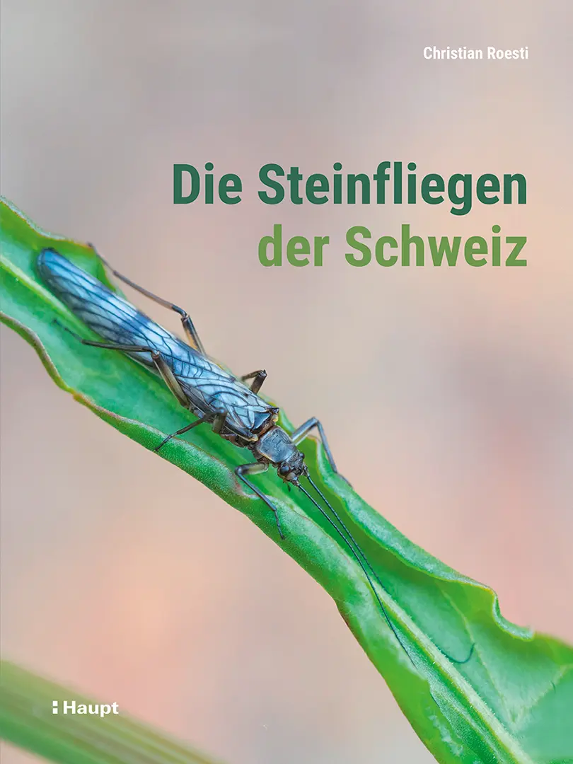 Vorderes Coverbild Die Steinfliegen der Schweiz