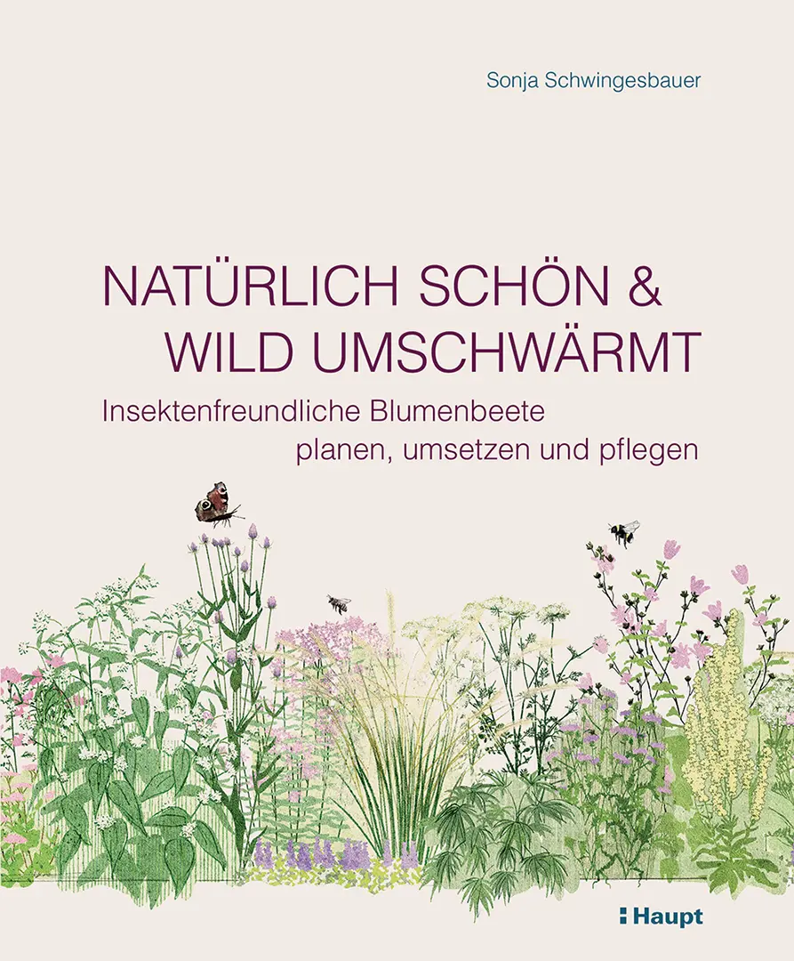 Vorderes Coverbild Natürlich schön und wild umschwärmt