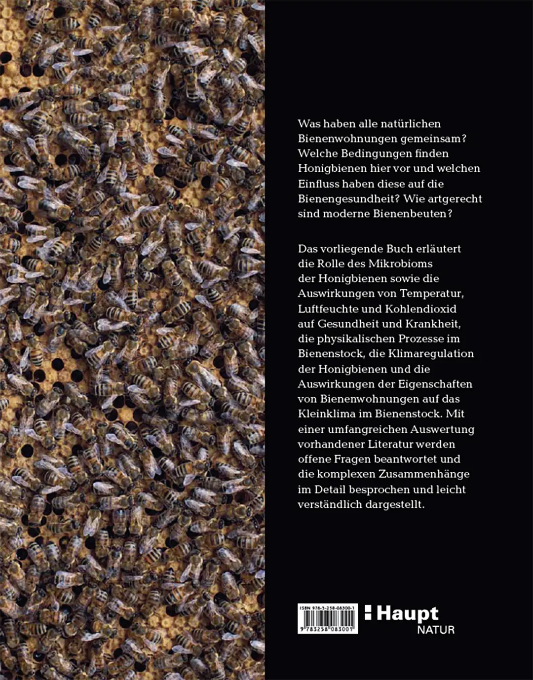 Beispielinhalt (Bild) Bienenbau und Bienenbeute