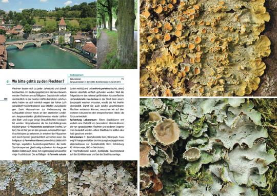 Beispielinhalt (Bild) Flechten der Schweiz
