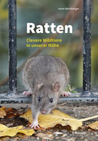 Vorderes Coverbild Ratten