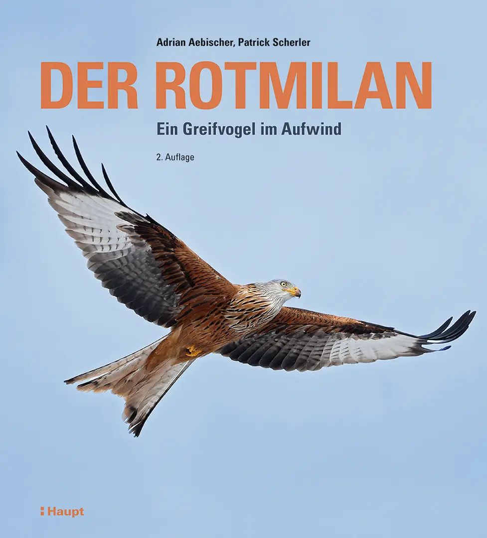 Vorderes Coverbild Der Rotmilan