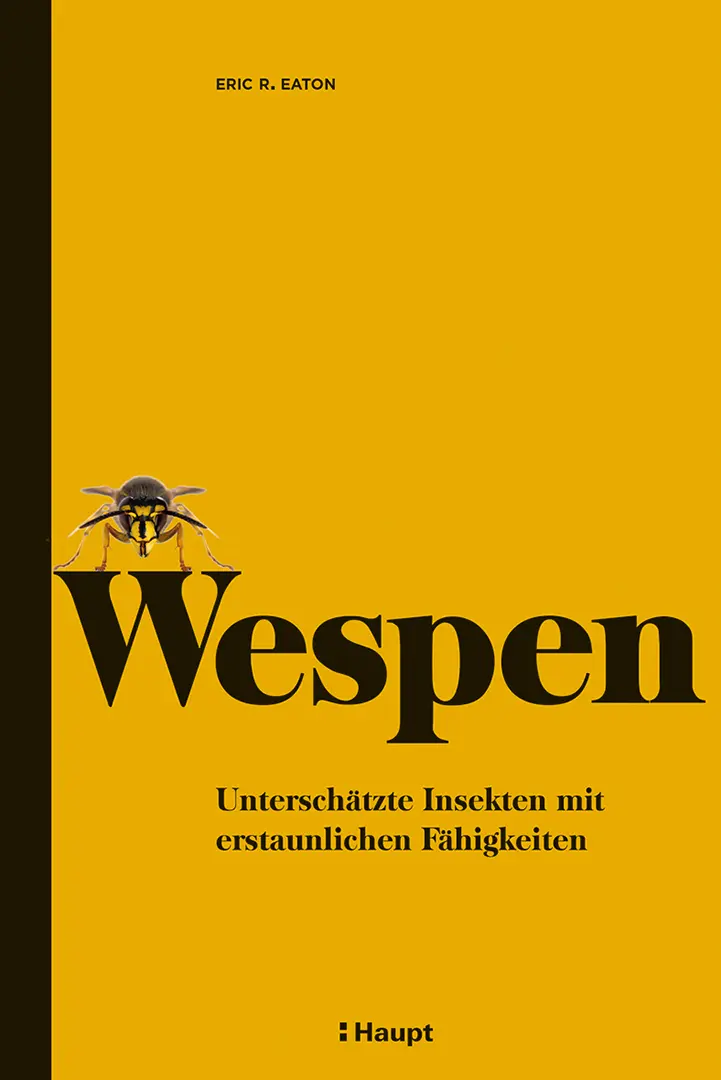 Vorderes Coverbild Wespen