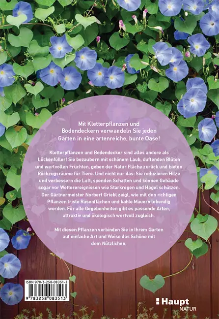 Beispielinhalt (Bild) Kletterpflanzen und Bodendecker