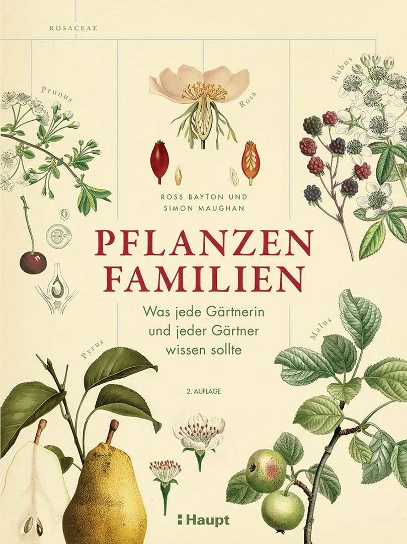 Vorderes Coverbild Pflanzenfamilien