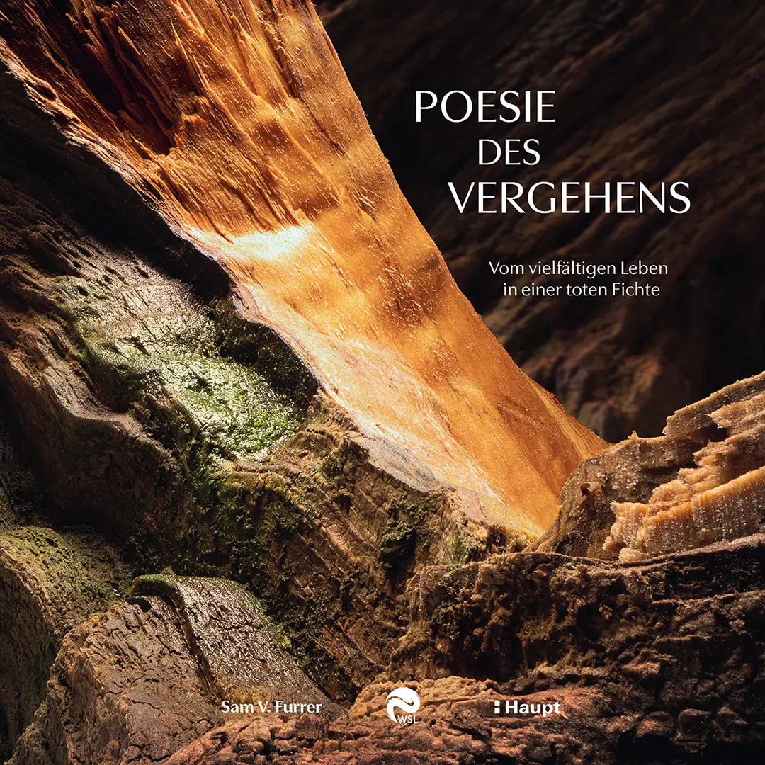 Vorderes Coverbild Poesie des Vergehens
