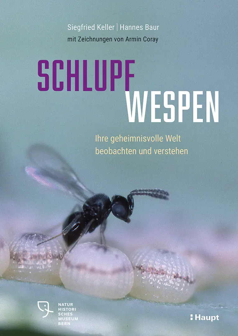Vorderes Coverbild Schlupfwespen